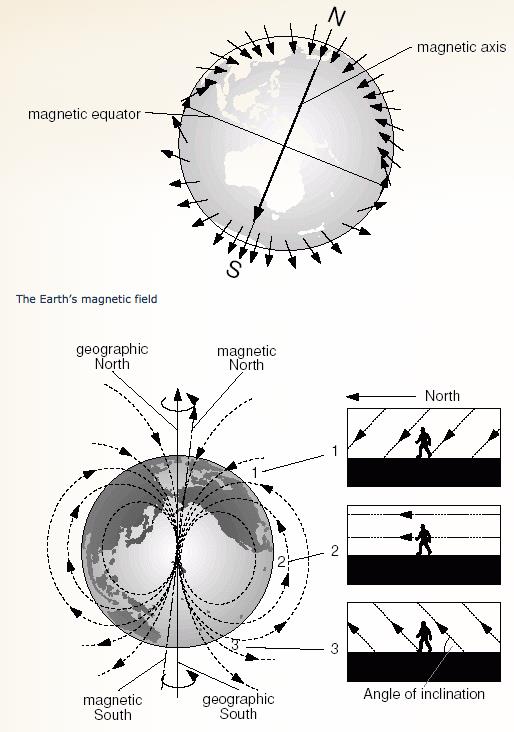 Compass & Navigation Factors